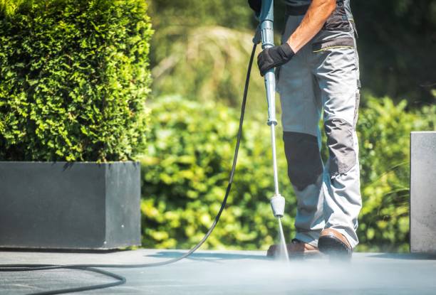 Best Solar Panel Cleaning  in Moulton, AL